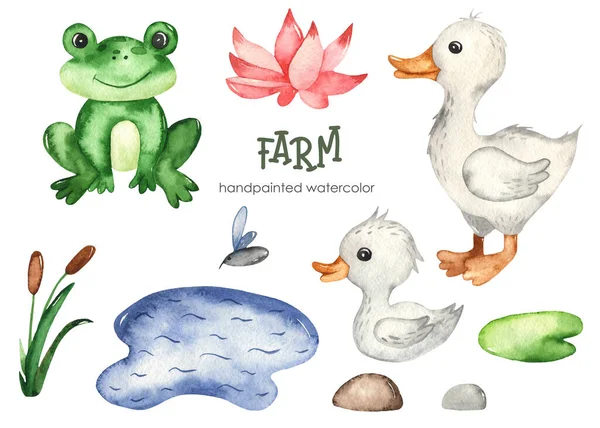 Frog Goose Baby Goose Pond Reeds Water Lily Farm Watercolor — Stock Photo, Image