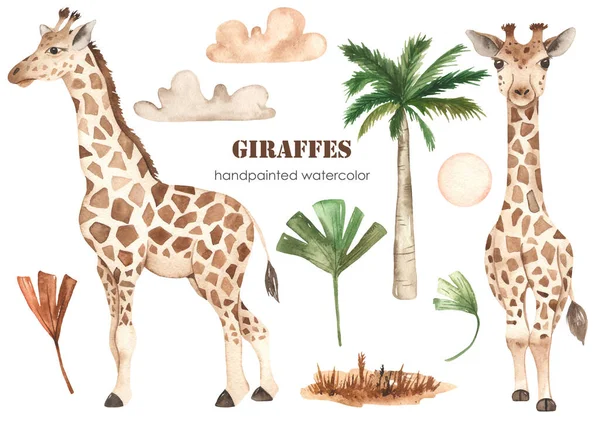 Roztomilé Žirafy Palmové Listy Mraky Savana Tráva Palmy Akvarel Kliparty — Stock fotografie