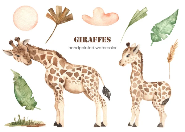 Roztomilé Žirafy Maminka Miminko Palmové Listy Mrak Savana Tráva Akvarel — Stock fotografie