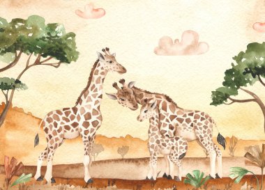 Gün batımında Savanna manzarası ve zürafa ailesi, anne, baba, çocuk, bebek, suluboya kart