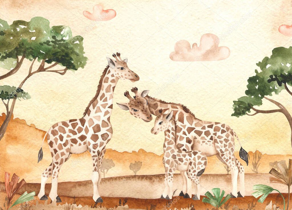 Savanna landscape at sunset and giraffe family, mom, dad, kid, baby, watercolor card