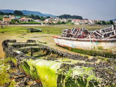 Deniz yosunlu ve tekneli deniz manzarası
