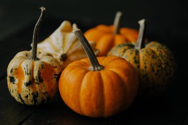 Dekoratif sonbahar balkabakları görüntüsü