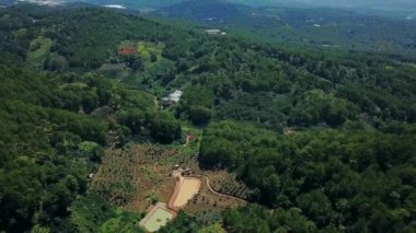 Fly Cam Drone 4k - Vietnam 'da çam ormanı yeşili