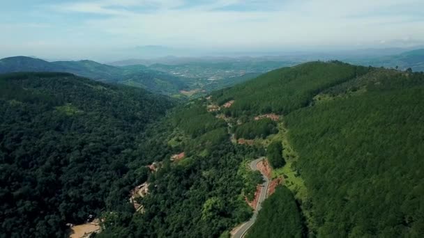 Mosca Cam Drone Bosque Pino Verde Vietnam — Vídeos de Stock