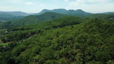 Fly Cam Drone 4k - Vietnam 'da çam ormanı yeşili