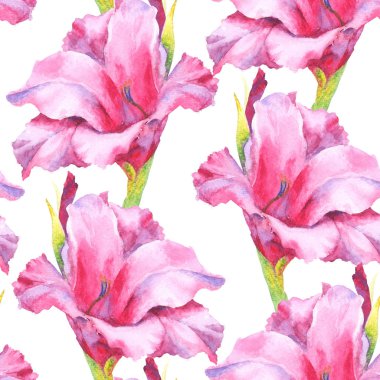 Suluboya pembe gladiolus tomurcuğu, kusursuz desen.