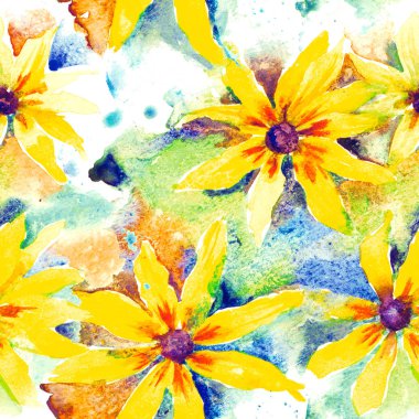 Rudbeckia. Çiçekli suluboya arka plan, pürüzsüz desen.