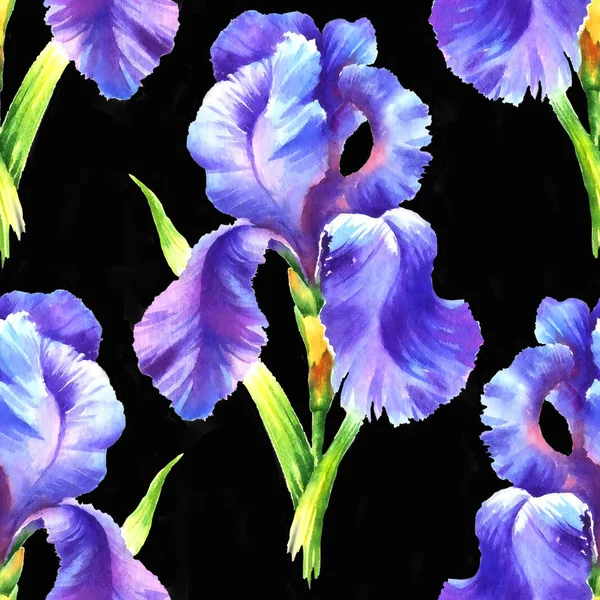Akvarell Handfärg Iris Blomma Sömlös Mönster För Textil Tapet Bakgrund — Stockfoto