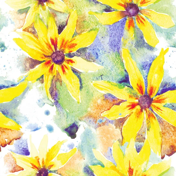Rudbeckia. Arrière-plan aquarelle floral, motif sans couture . — Photo