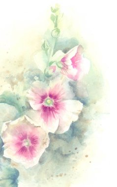 Mallow pembe çiçekleri; el boyası suluboya çizimleri.