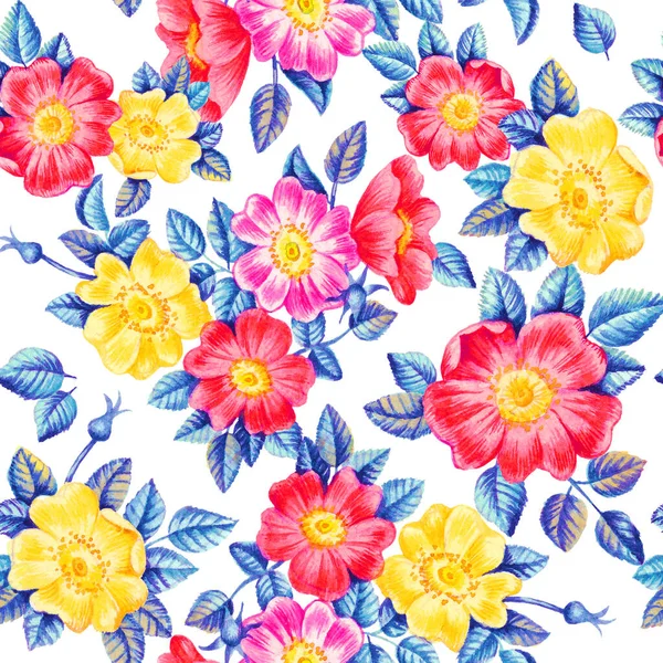 Aquarell Handfarbe Hunderosenblüten Nahtloses Muster Vorlage Für Textilien Tapeten Geschenkpapier — Stockfoto