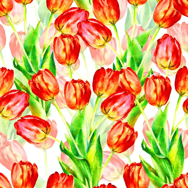 Red Tulips Hand Painted Watercolor Vector Illustration Seamless Pattern Template — 图库照片