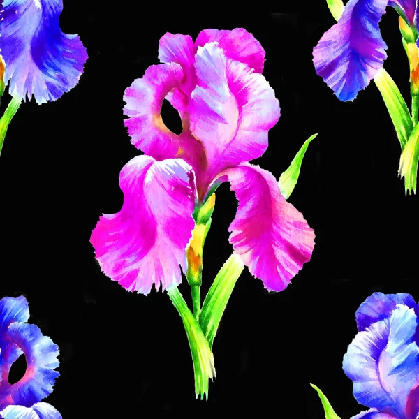 Akvarell Kézfesték Írisz Virág Zökkenőmentes Minta Textil Tapéta Háttér — Stock Fotó