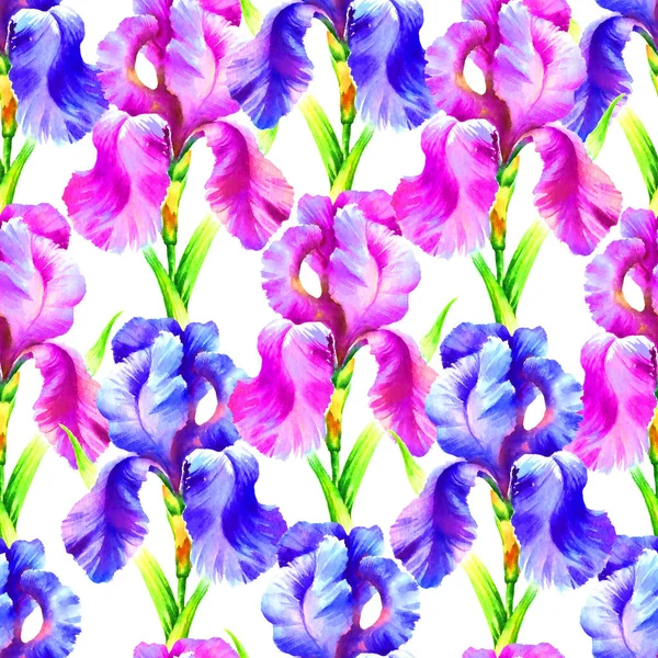 Aquarell Handfarbe Irisblume Nahtloses Muster Für Textilien Tapete Hintergrund — Stockfoto