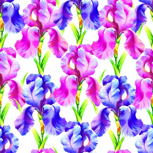 Aquarelle Peinture Main Fleur Iris Motif Sans Couture Pour Textile — Photo