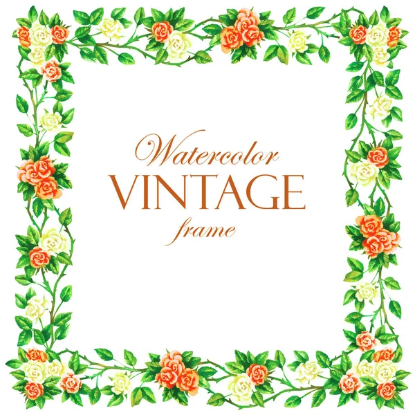 Cadre Roses Peintes Main Isolé Sur Fond Blanc Illustration Vintage — Photo