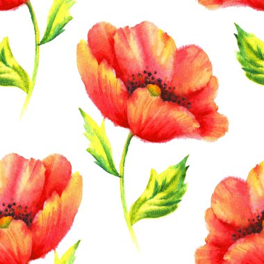 Elle boyanmış kusursuz desenli suluboya kırmızı haşhaş..