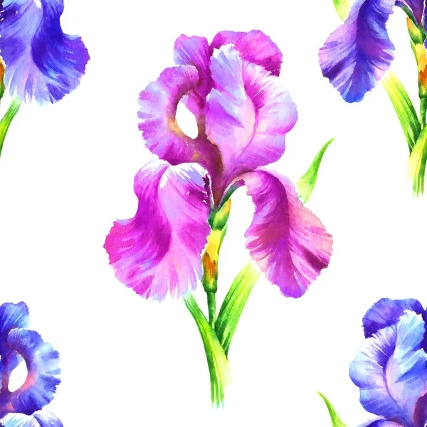 Aquarelle Peinture Main Fleur Iris Motif Sans Couture Pour Textile — Photo