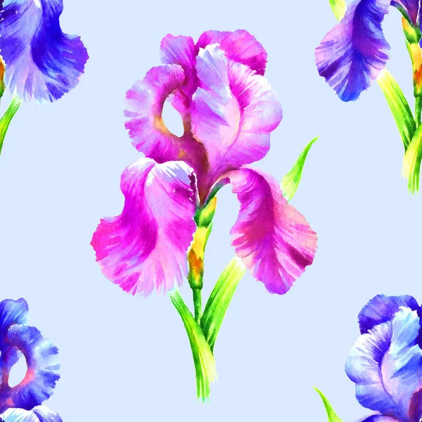 Aquarelle Peinture Main Fleur Iris Motif Sans Couture Pour Textile — Photo