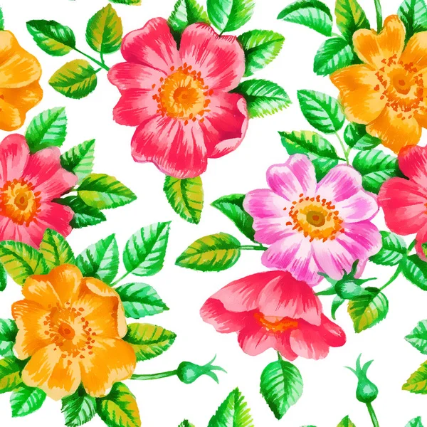 Suluboya Boyası Köpek Gülü Çiçekleri Pürüzsüz Desen — Stok fotoğraf