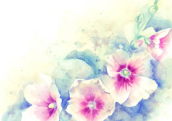 Mallow Różowe Kwiaty Farba Ręcznie Akwarela Ilustracja Szablon Dla Karty — Zdjęcie stockowe