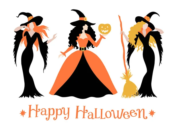 Set Van Verschillende Halloween Heks Kostuum Kleur Vector Illustratie — Stockvector