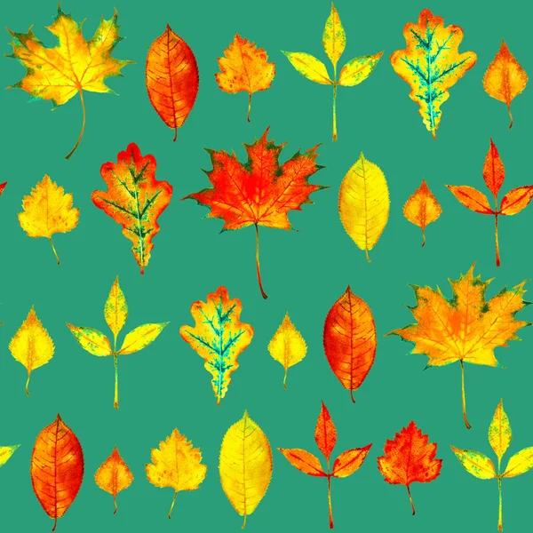 Seamless pattern with hand painted watercolor red and yellow autumn leaves: oak tree; ash-tree, maple, birch. Autumn background for textile, print, wallpaper, scrapbooking.