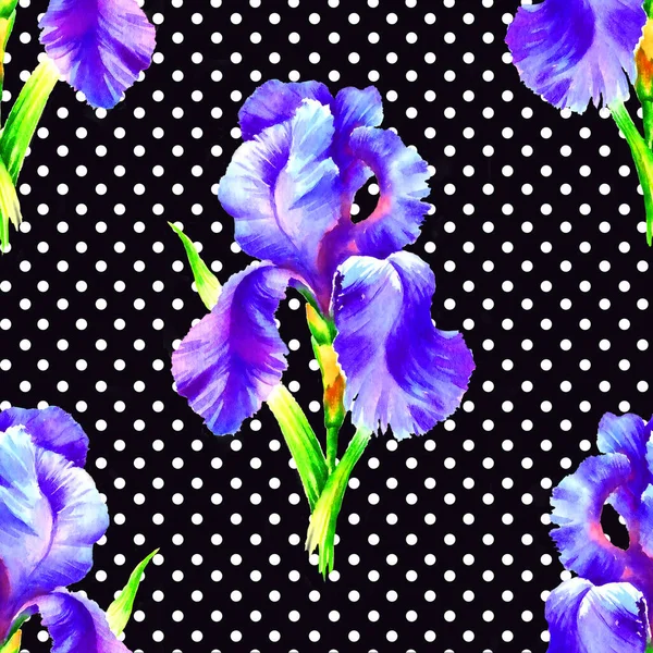 Iris Lilás Mão Pintar Aquarela Sem Costura Padrão Para Têxteis — Fotografia de Stock