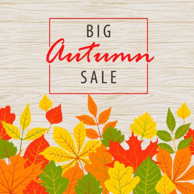 Ahşap arkaplanda sonbahar yaprakları, elle çizilmiş sonbahar vektörü çizimi.