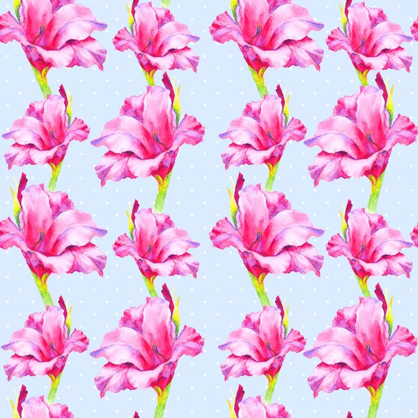 Akvarel Ručně Malovat Růžový Pupen Gladiolu Lilie Bezešvý Vzor Šablona — Stock fotografie