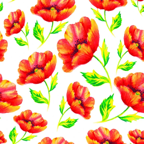 Zökkenőmentes Minta Kézi Festék Akvarell Piros Mák Sablon Textil Tapéta — Stock Fotó