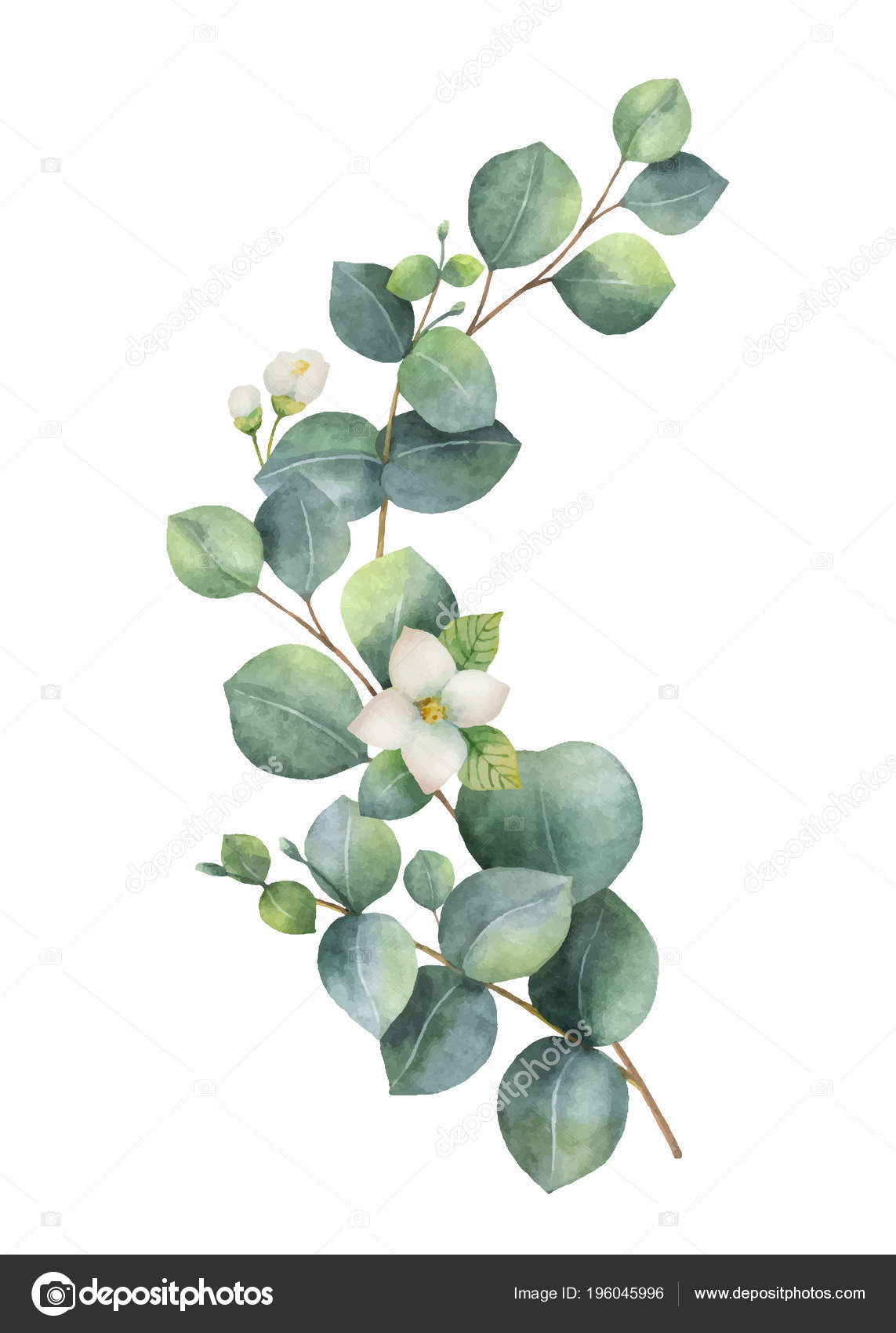 Watercolor vector wreath with green eucalyptus leaves, Jasmine flowers and branches. — Stock