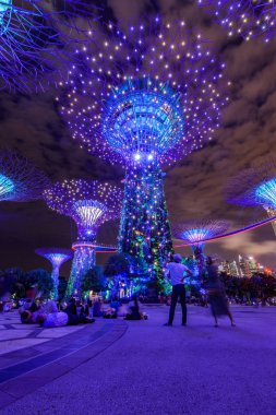 Singapur şehrinde Bay tarafından Gardens Ağaçlar