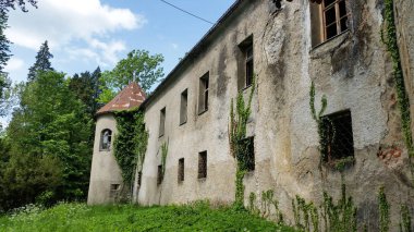 Frankopan Kalesi harabesi. Severin na Kupi. Hırvatistan