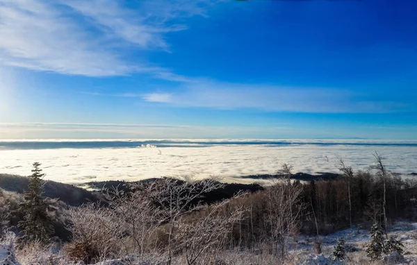 Ağaçlı Mavi Gökyüzü Olan Kış Manzarası Bulutlarda Dumanı Tüten Bir — Stok fotoğraf