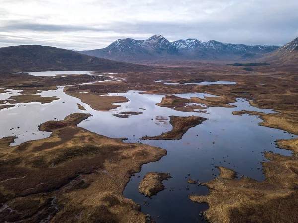 Skotské Zimní Mokřady Hnědou Trávou Výhledem Pohoří Black Mount Zamračený — Stock fotografie