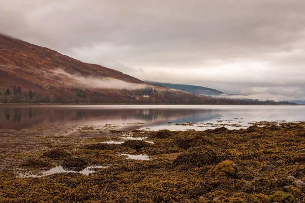 Klidné Pobřeží Pokryté Mořskými Řasami Skalami Přehlíží Loch Eli Skotskou — Stock fotografie