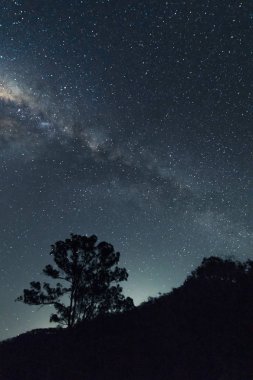 Samanyolu galaksisi Fordsdale, Queensland, Avustralya 'da bir ağacın köşesinde belirir..