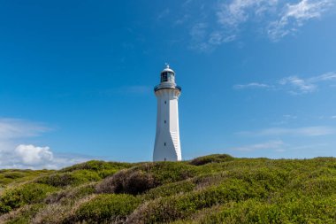 Renkli ve parlak beyaz bir deniz feneri yemyeşil bir çalılıkta mükemmel bir şekilde duruyor. Hafif bulutlu ama güneşli bir günde, Avustralya, Nsw Cape 'de.
