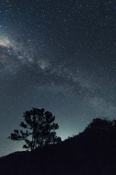 Galaxia Vía Láctea Aparece Esquina Sobre Árbol Fordsdale Queensland Australia — Foto de Stock