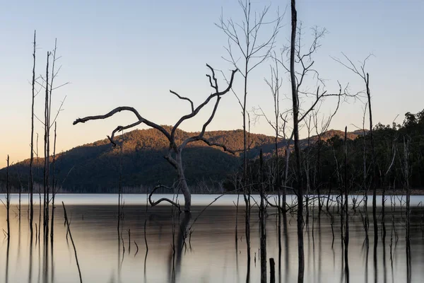 Árvores Mortas Refletindo Sobre Água Durante Pôr Sol Sobre Advancedtown — Fotografia de Stock