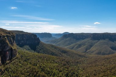 Bulutlu ve sisli bir günde Mavi Dağlar 'ın engin bölgesinde yemyeşil ve yoğun bir bitki örtüsü..