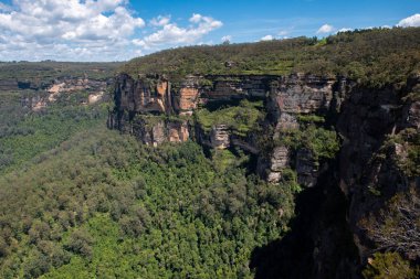 Bulutlu ve sisli bir günde Mavi Dağlar 'ın engin bölgesinde yemyeşil ve yoğun bir bitki örtüsü..