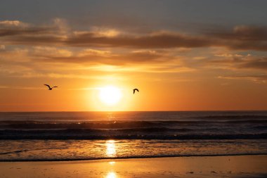 Sahilde gün doğumu