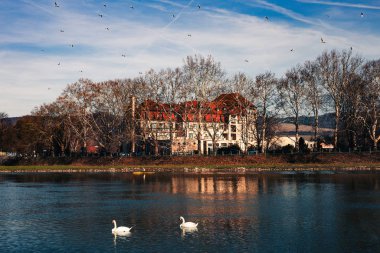 Gün batımında arka planda mavi nehir ve otel üzerinde kuğu ile Slovakya Piestany şehrin koyu manzara fotoğrafı. Kristal mavi gökyüzü ve ağaçlar üzerinde uçan bir kuş sürüsü ile su kenarında kale.