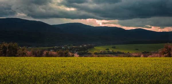 Gün batımında vadide küçük bir köy ile Slovakya Povazsky Inovec Hill Panoramik fotoğraf. Yeşil çim ve güzel güneş ışınları ile buğday tarlasının Manzara fotoğraf. Çayırdan mükemmel bakış açısı.