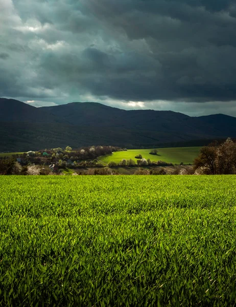 Povazsky Inovec Hill Slovakya 'da gün batımında vadide küçük bir köy ile. Yeşil çim ve güzel güneş ışınları ile buğday alanının peyzaj fotoğrafı. Günbatımında çayırdan mükemmel görünüm noktası.