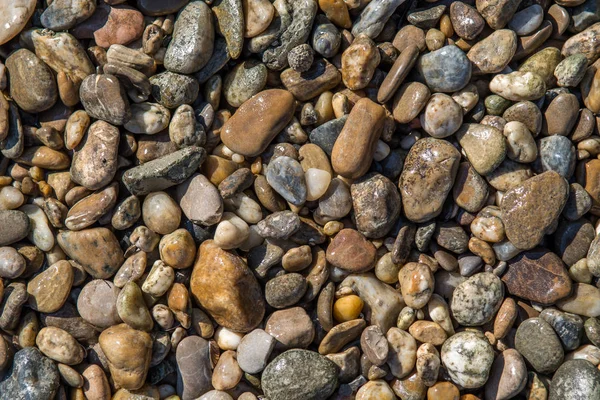 Colorful Wet Pebbles — Stock Photo, Image