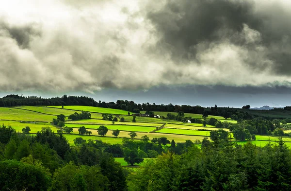 Natursköna Landskap Med Skog Och Betesmarker Skottland — Stockfoto